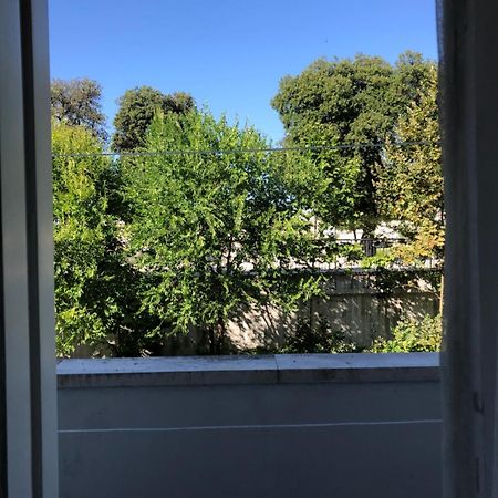 זאדאר Cozy Apartment Overlooking The City Walls מראה חיצוני תמונה